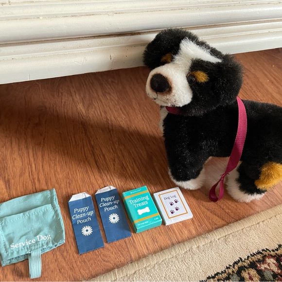 Nicki American girl doll girl of the year 2007 - Picture 2 of 14